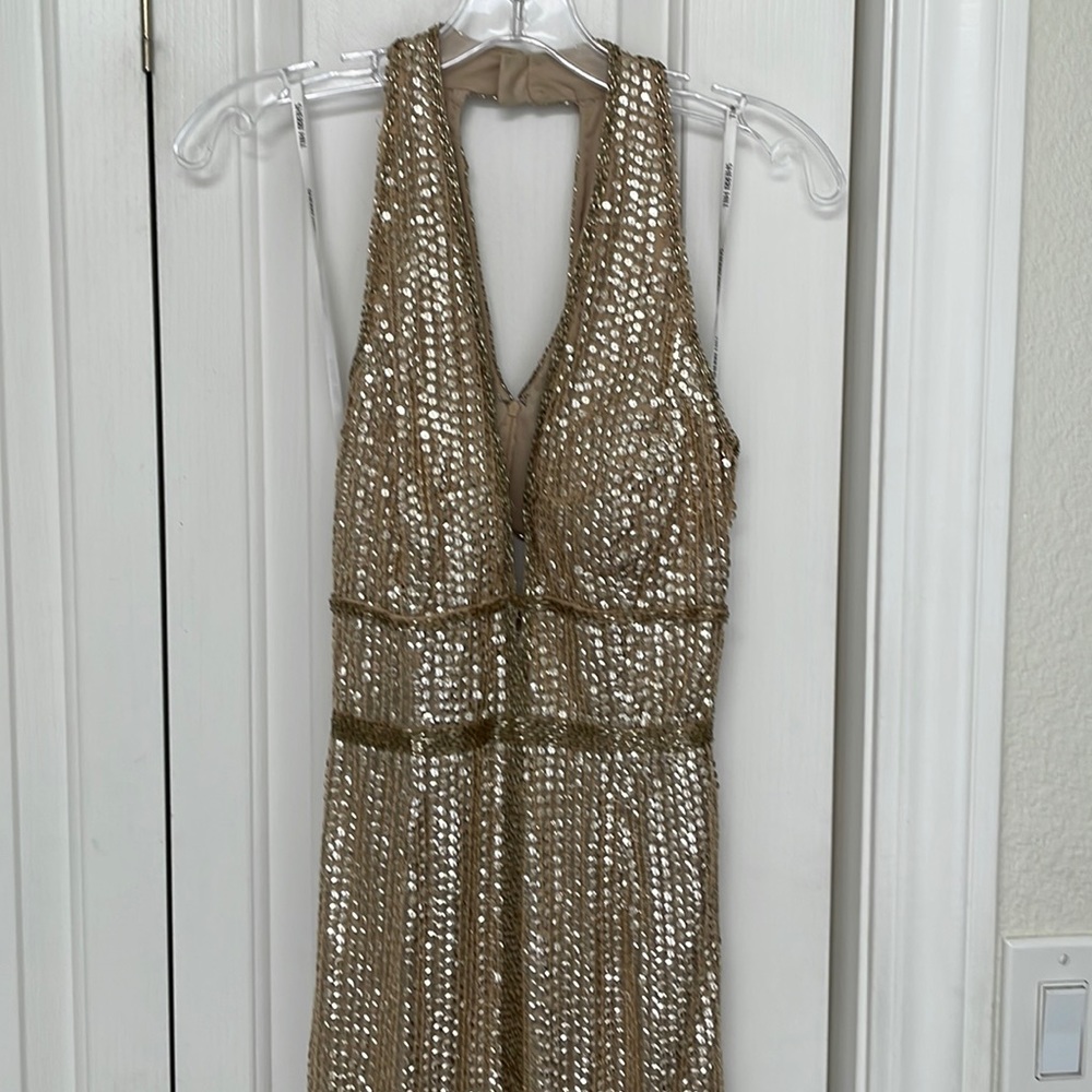Light Gold Gown